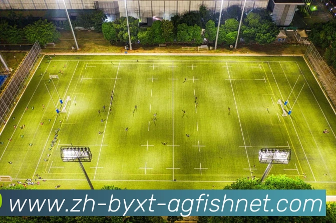 多媒体互动体验