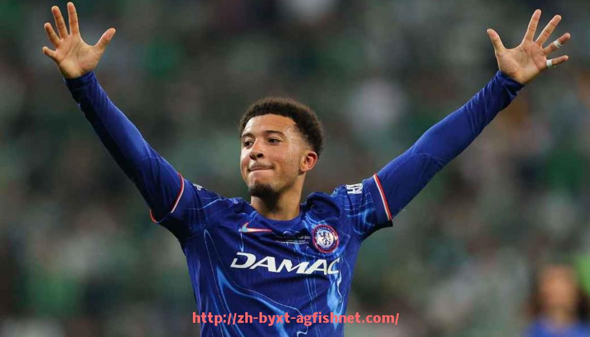 AG捕鱼王官网-哪些球队有实力在2025赛季升上德甲？升级预测详解